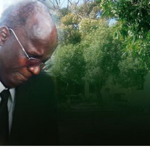 immediate credit report online australia credit score score check in canada