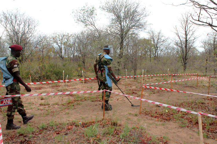A member of the ZNA mine-removal team carries out a simulated search for landmines.