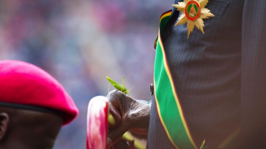 A grasshopper sits on Zimbabwean President Robert Mugabe's hand as he inspects the guard of honour